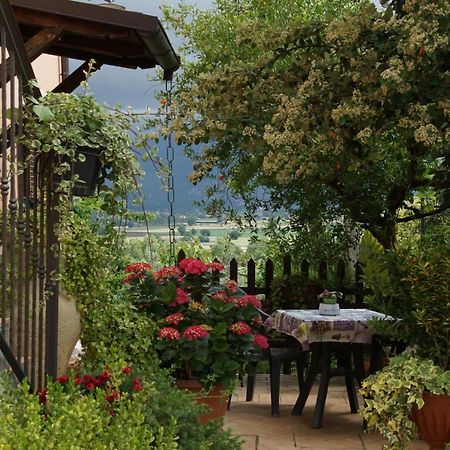 Agriturismo L'Ulivo In Fiore Spoleto Bagian luar foto